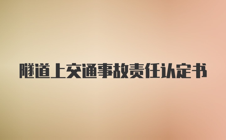 隧道上交通事故责任认定书