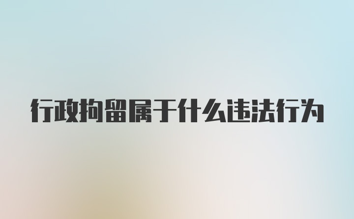 行政拘留属于什么违法行为