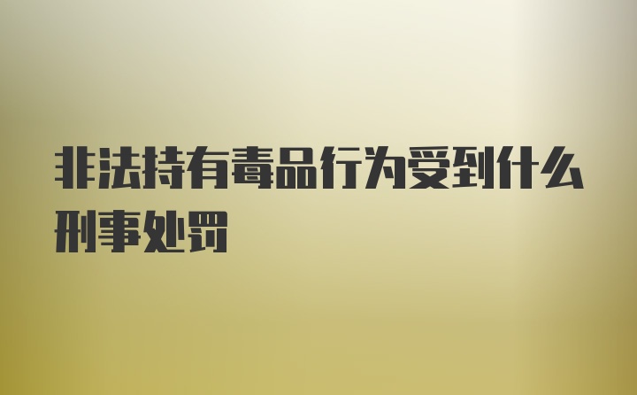 非法持有毒品行为受到什么刑事处罚