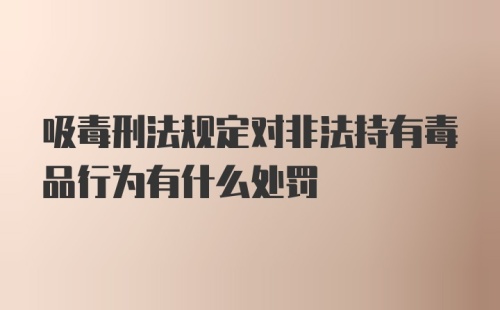 吸毒刑法规定对非法持有毒品行为有什么处罚