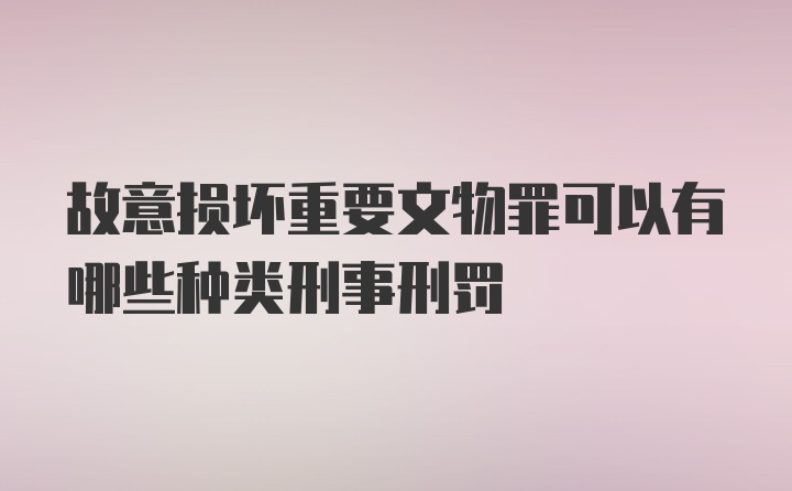 故意损坏重要文物罪可以有哪些种类刑事刑罚