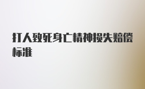 打人致死身亡精神损失赔偿标准