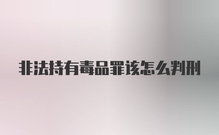 非法持有毒品罪该怎么判刑