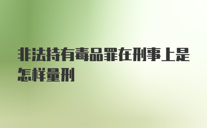 非法持有毒品罪在刑事上是怎样量刑