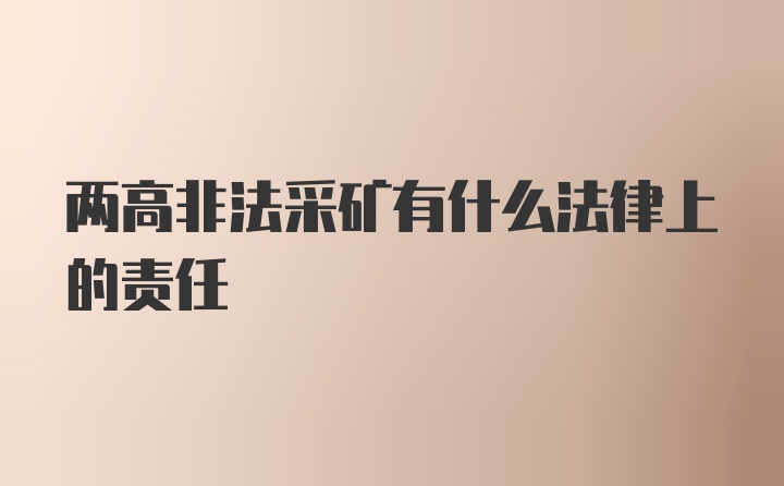 两高非法采矿有什么法律上的责任