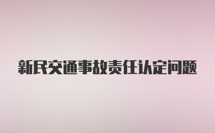 新民交通事故责任认定问题