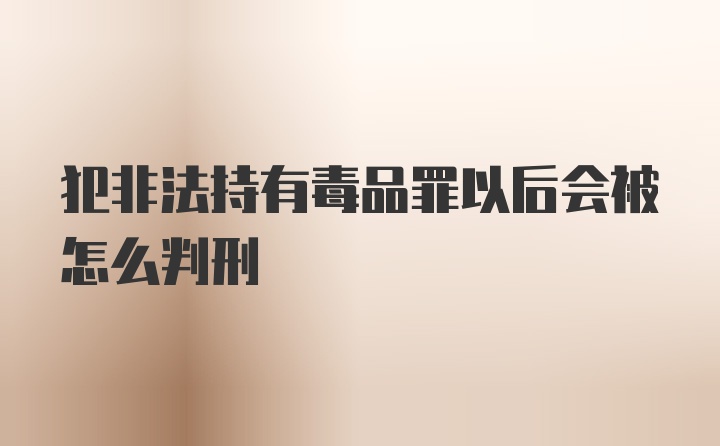 犯非法持有毒品罪以后会被怎么判刑