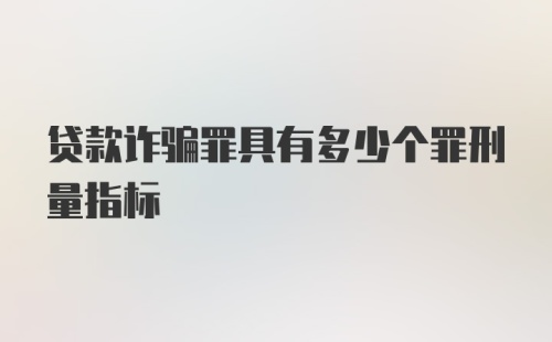 贷款诈骗罪具有多少个罪刑量指标