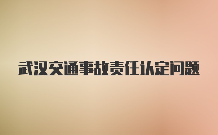 武汉交通事故责任认定问题