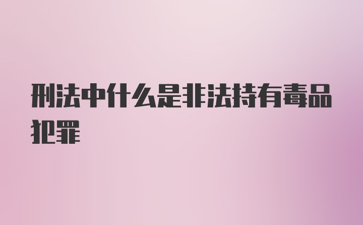 刑法中什么是非法持有毒品犯罪