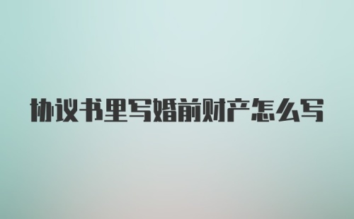 协议书里写婚前财产怎么写