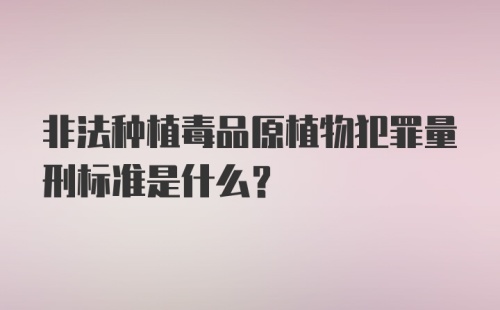 非法种植毒品原植物犯罪量刑标准是什么？