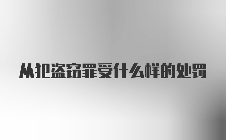 从犯盗窃罪受什么样的处罚