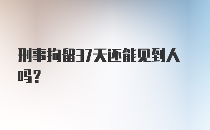 刑事拘留37天还能见到人吗?