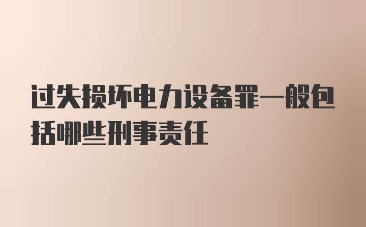 过失损坏电力设备罪一般包括哪些刑事责任