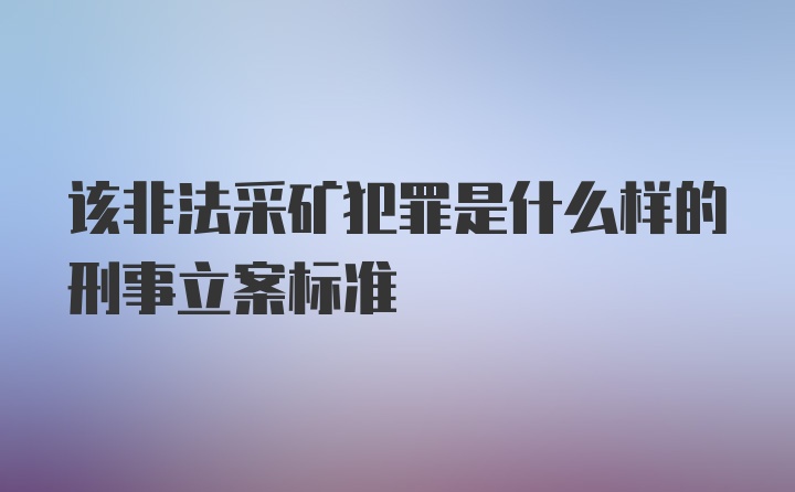 该非法采矿犯罪是什么样的刑事立案标准