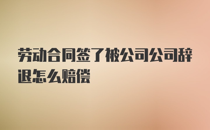 劳动合同签了被公司公司辞退怎么赔偿