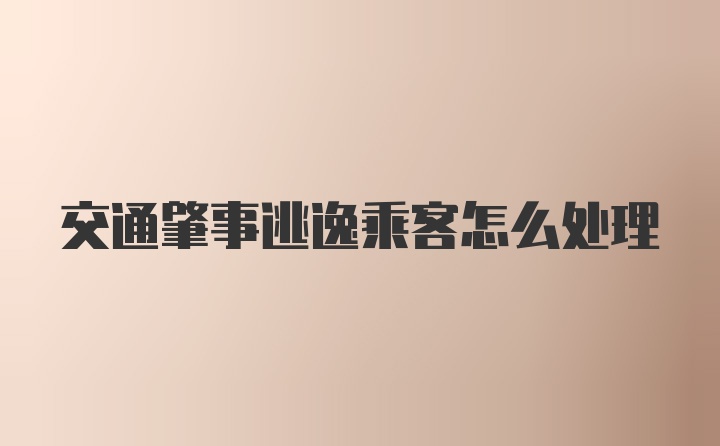 交通肇事逃逸乘客怎么处理