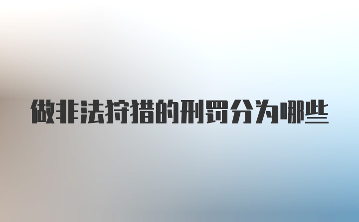 做非法狩猎的刑罚分为哪些