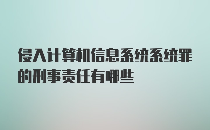 侵入计算机信息系统系统罪的刑事责任有哪些