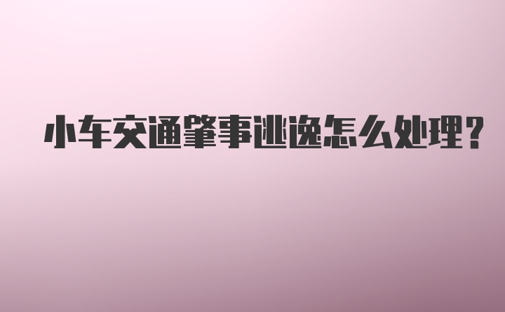 小车交通肇事逃逸怎么处理?