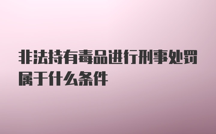 非法持有毒品进行刑事处罚属于什么条件