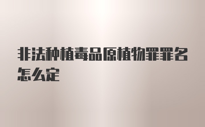 非法种植毒品原植物罪罪名怎么定