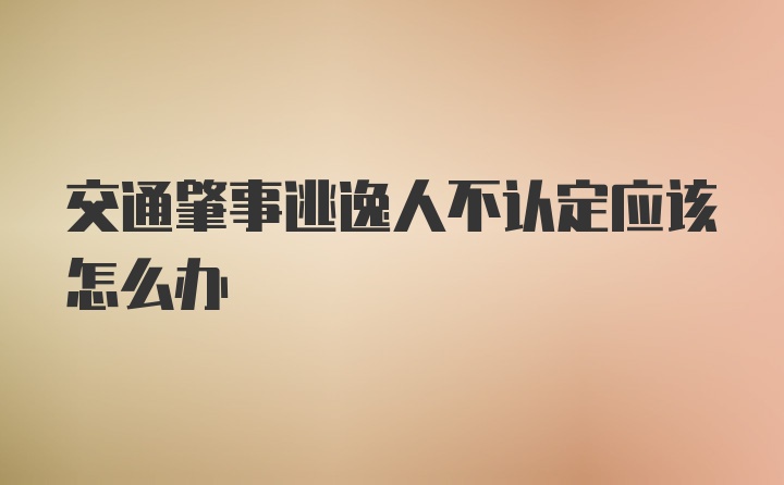 交通肇事逃逸人不认定应该怎么办