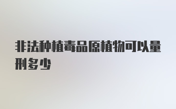 非法种植毒品原植物可以量刑多少