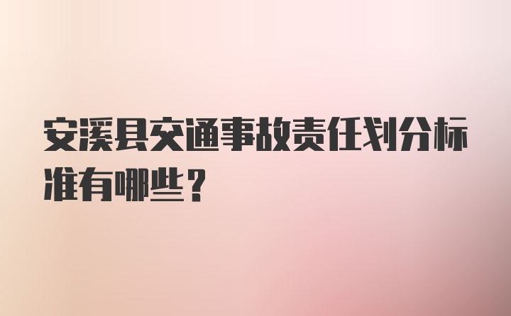 安溪县交通事故责任划分标准有哪些？