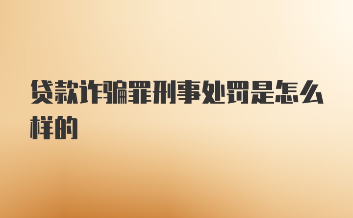 贷款诈骗罪刑事处罚是怎么样的