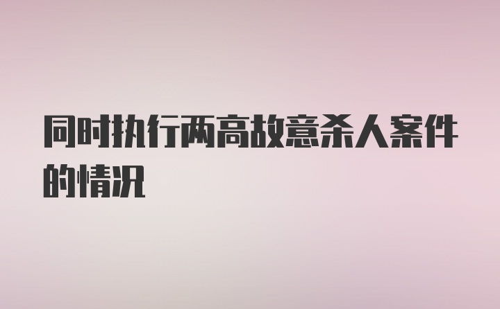 同时执行两高故意杀人案件的情况