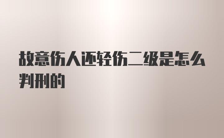 故意伤人还轻伤二级是怎么判刑的