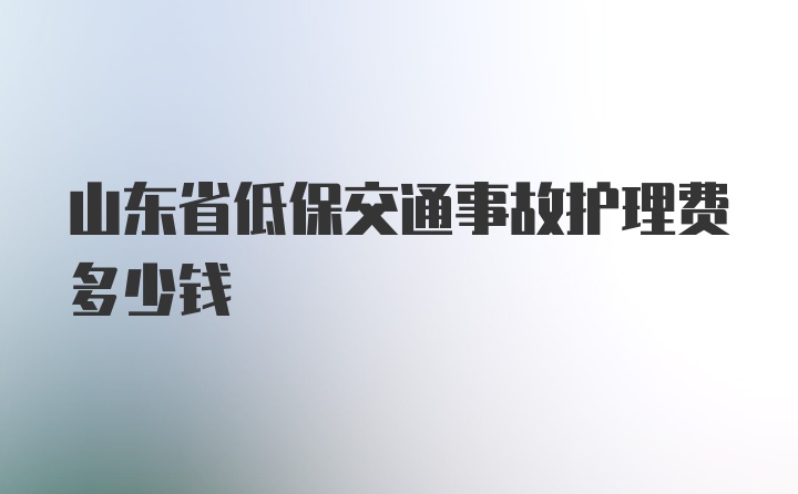 山东省低保交通事故护理费多少钱