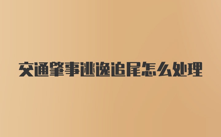 交通肇事逃逸追尾怎么处理