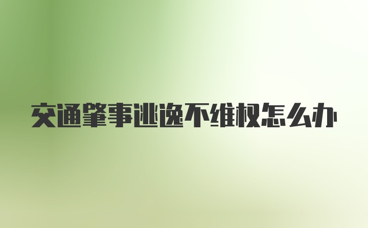 交通肇事逃逸不维权怎么办