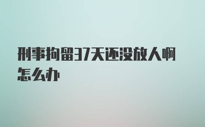 刑事拘留37天还没放人啊怎么办