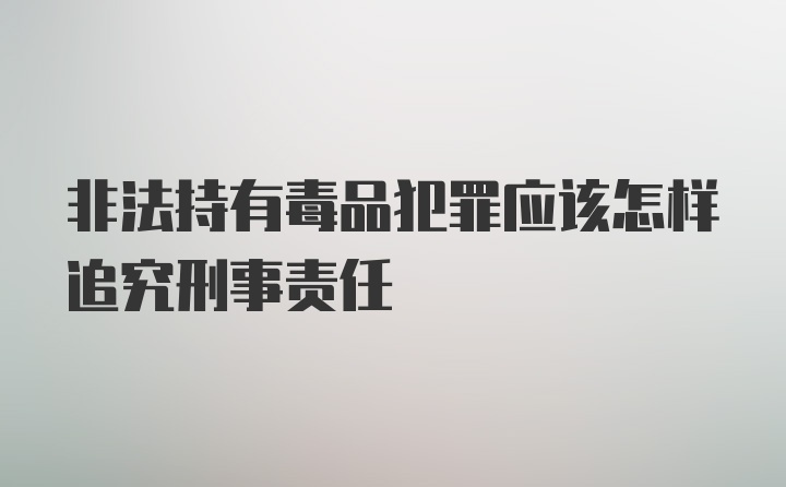 非法持有毒品犯罪应该怎样追究刑事责任