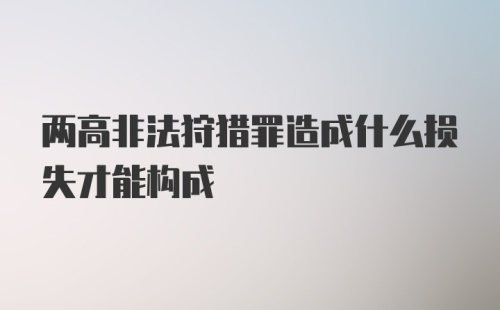 两高非法狩猎罪造成什么损失才能构成