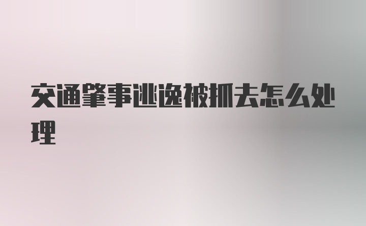 交通肇事逃逸被抓去怎么处理