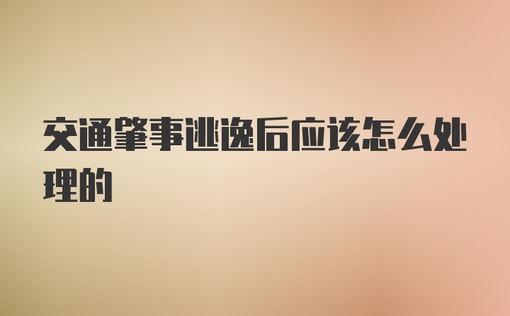 交通肇事逃逸后应该怎么处理的