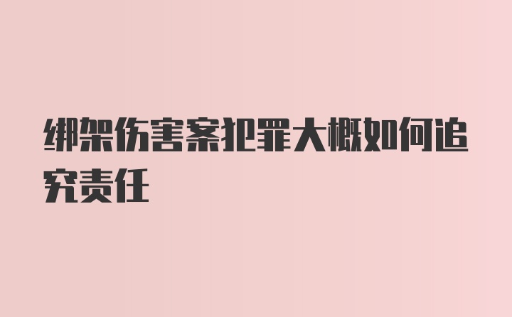 绑架伤害案犯罪大概如何追究责任