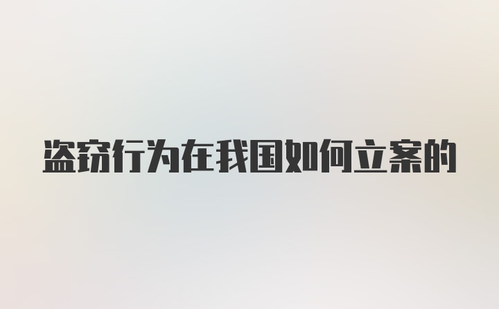 盗窃行为在我国如何立案的