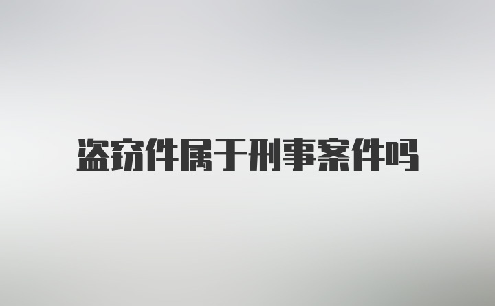 盗窃件属于刑事案件吗