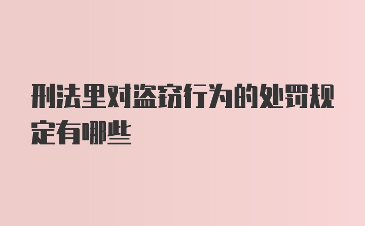 刑法里对盗窃行为的处罚规定有哪些