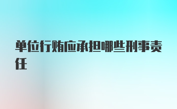 单位行贿应承担哪些刑事责任