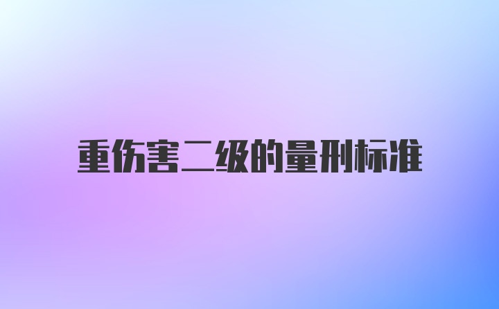 重伤害二级的量刑标准