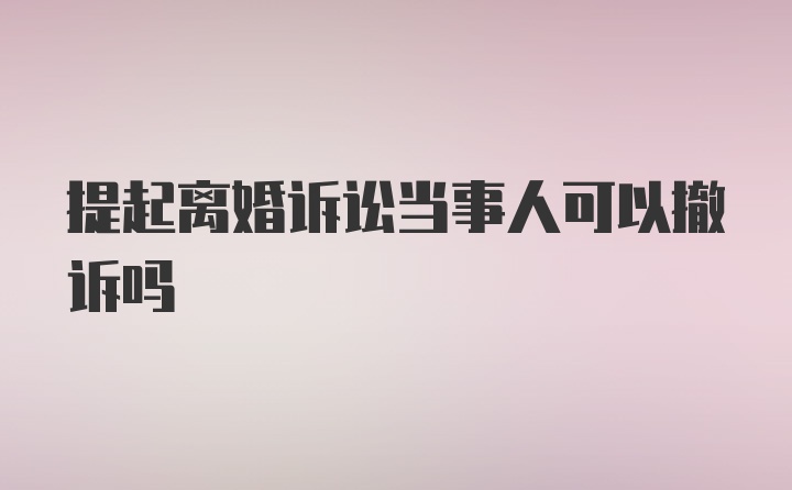 提起离婚诉讼当事人可以撤诉吗