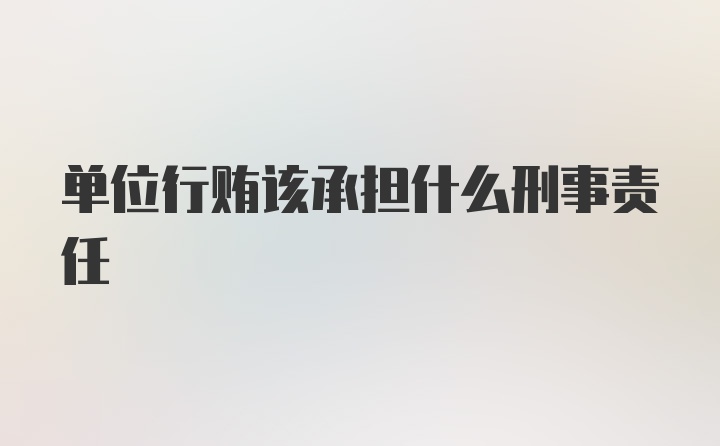 单位行贿该承担什么刑事责任