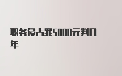 职务侵占罪5000元判几年